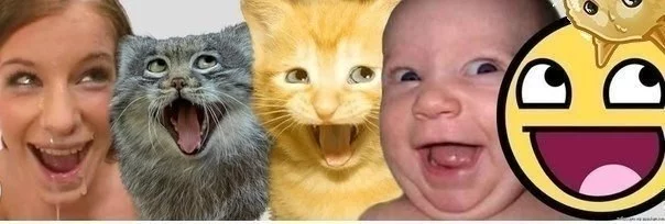 TCStjIaR2_Y.webp