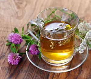 tearedcloveryarrow-300x261.webp