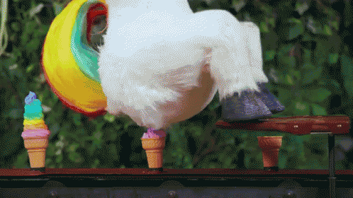 tenor.gif