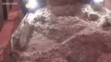 tenor.gif