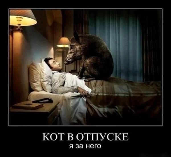TG1w5zVfTbk.webp