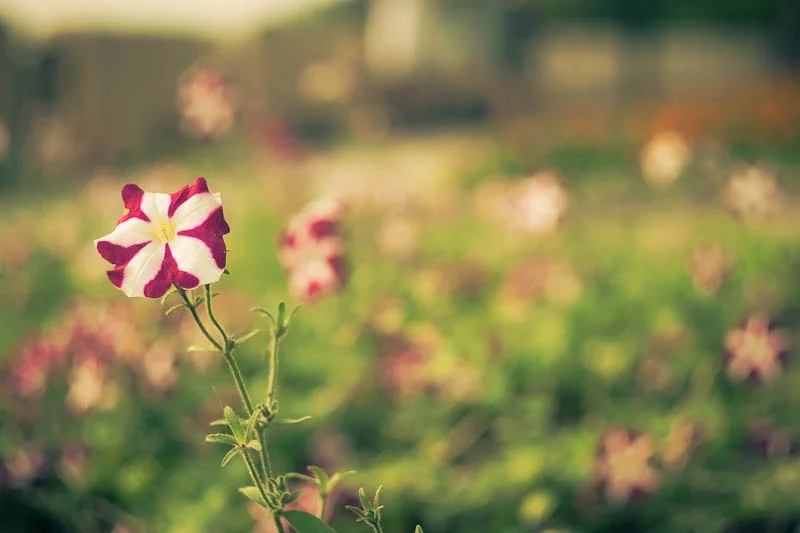 TgtzXDMfujI.webp