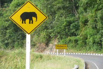 thailand-animal-road-sign(vagabondjourney.com).jpg