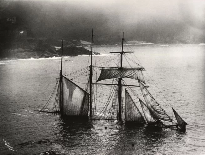 the-mildred-1912-web.webp