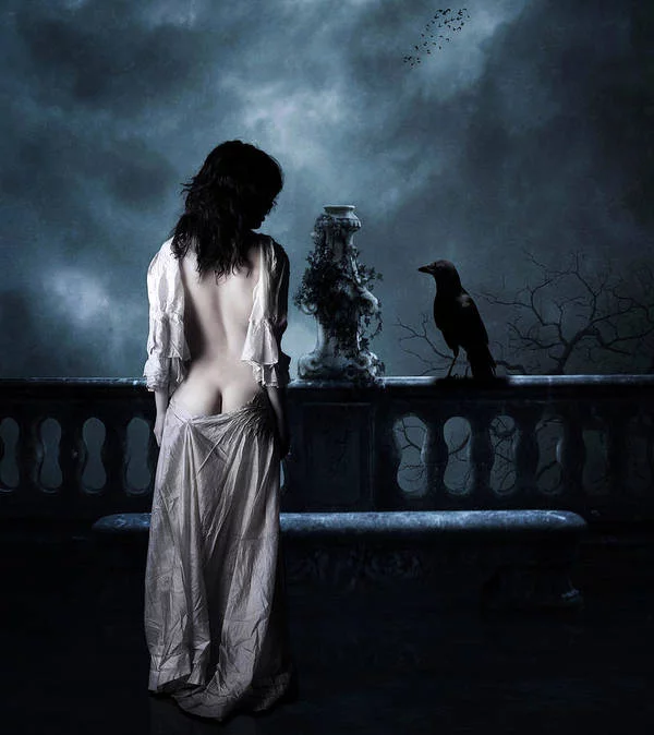 the-raven-jake.webp