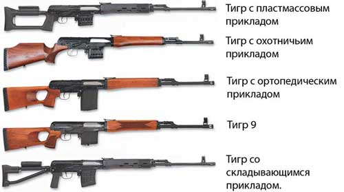 tigr.jpg