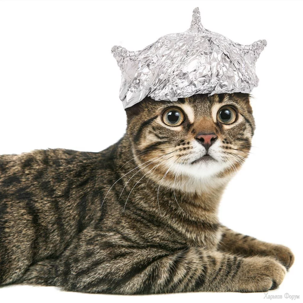 tinfoilhatday-4-1024x1024.webp