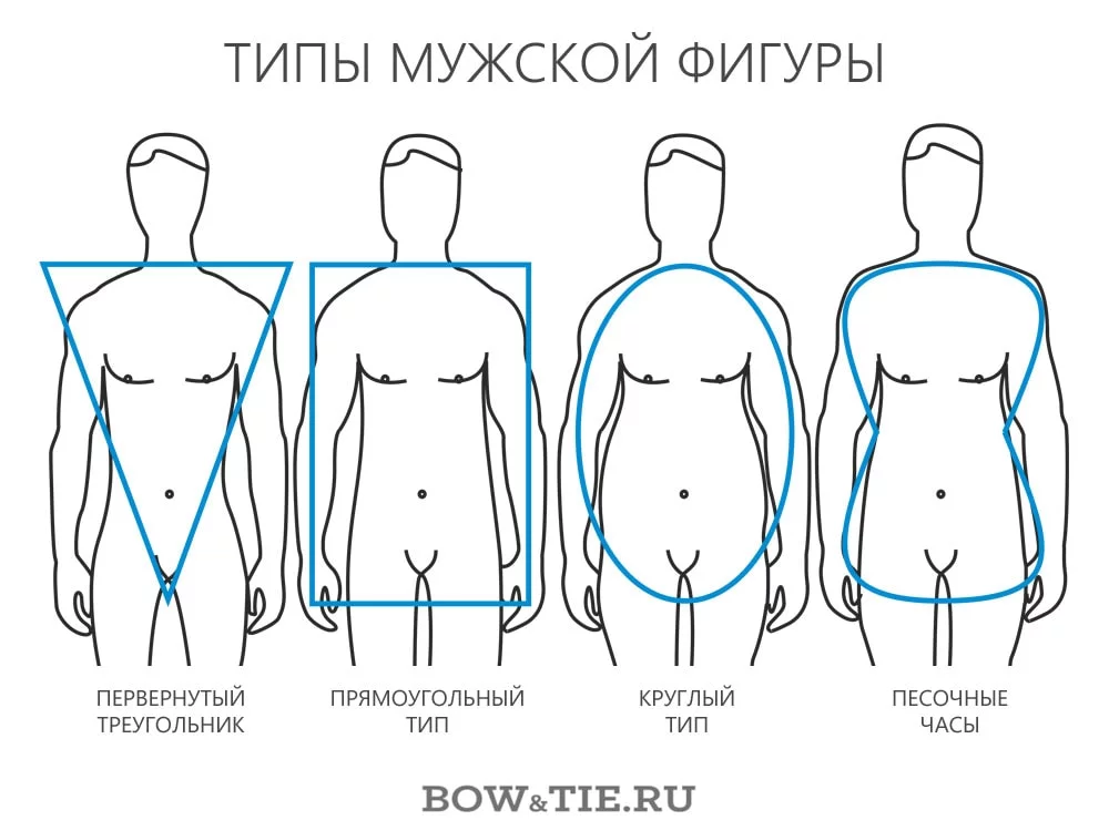 Tipyi-muzhskoy-figuryi.webp