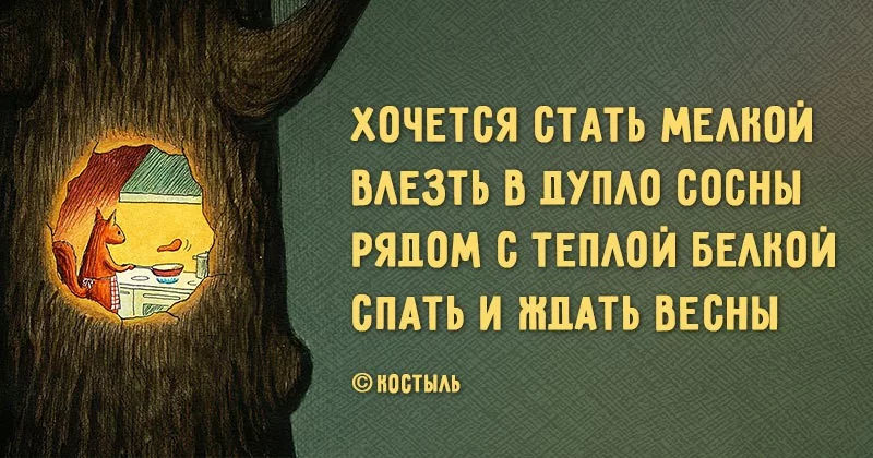 title.webp