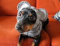 TiV7JKJsL4JLY6U72LzVW7AY38wwbcpHECKfBFJ0GfU3EfTm-b.webp