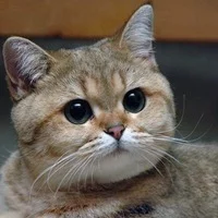TkNCo-Y0txs.webp