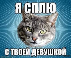 Tl38WALlvxr7ZCvEeYeE933rnFwH8M02lrB_YCcdvhFqU0sZj7.jpg