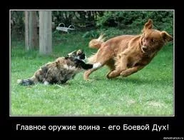 Tlc3i5Pb-YtCR1sqM4IJkGsNNnbCBeCmekEenq3g_YeJeHdn8a.webp
