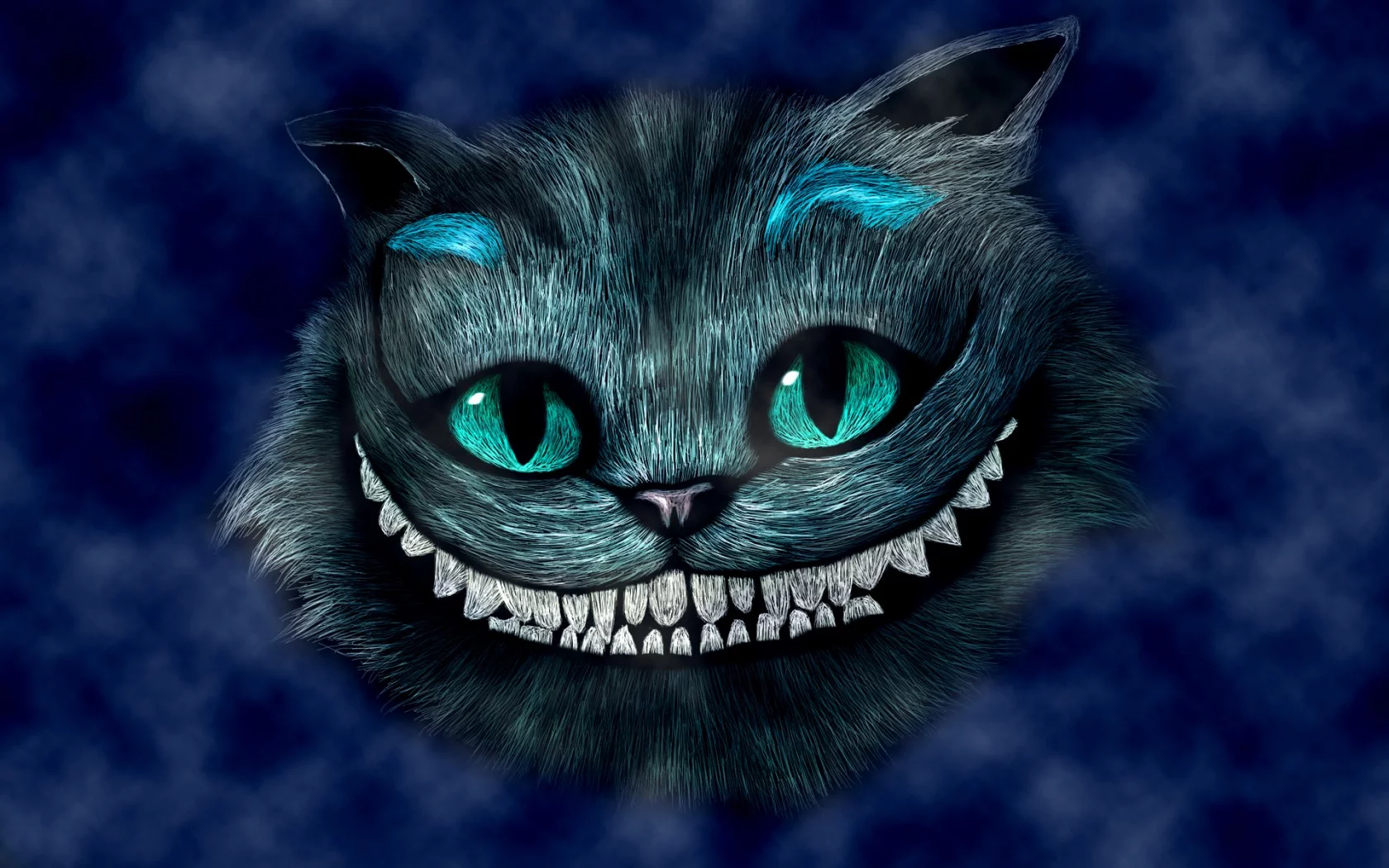 tLf71hVTmb.webp