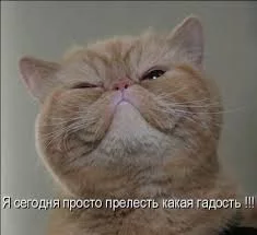 TlzzrKTe809p5IHIhdZsA_DFUsddYIeCEFlXOPMelzVfGMSh2Y.webp