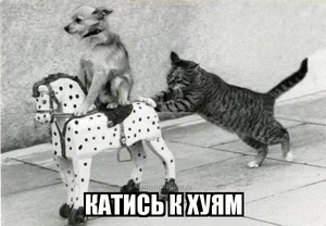 tmb_0306130336074186.webp
