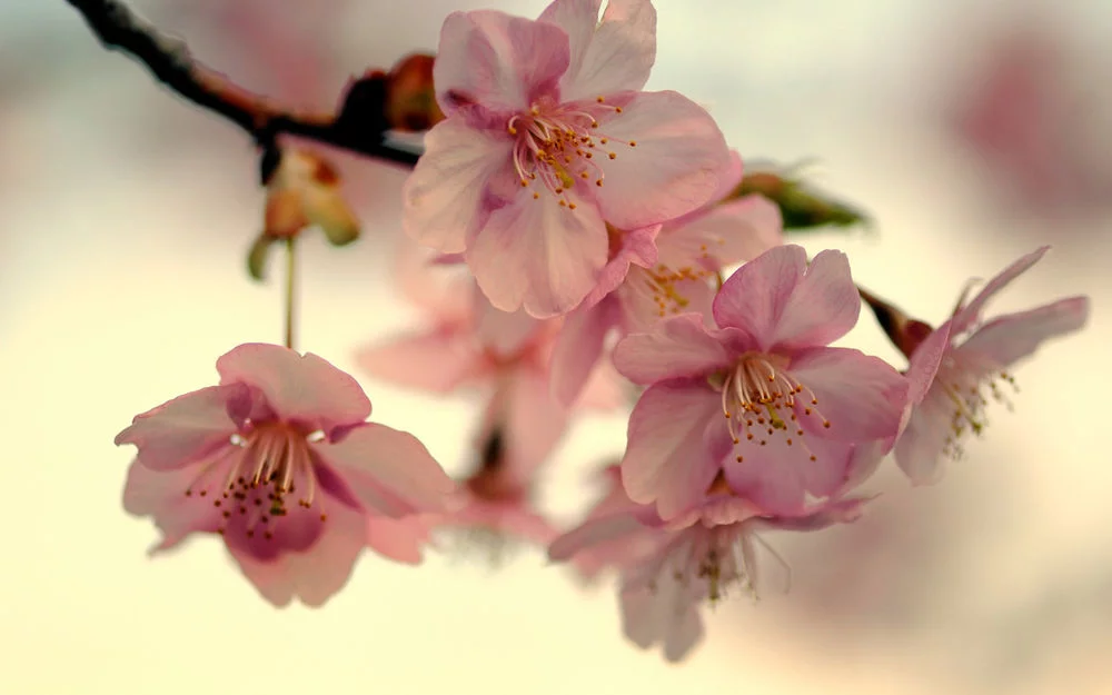 tmb_35538_5468.webp