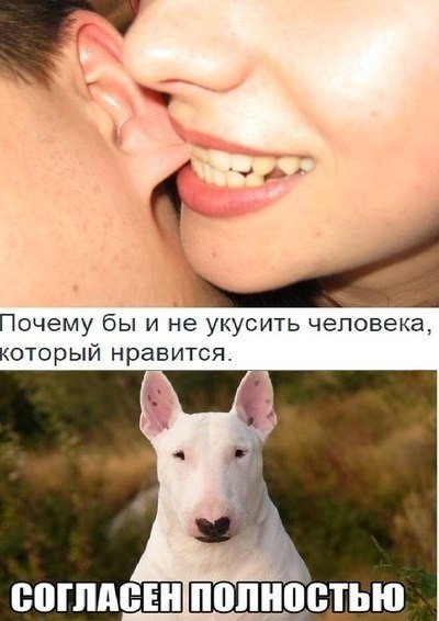 Tmzr3CUs2PI.jpg