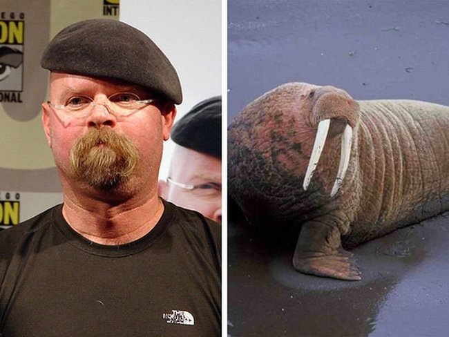 tn.jpg