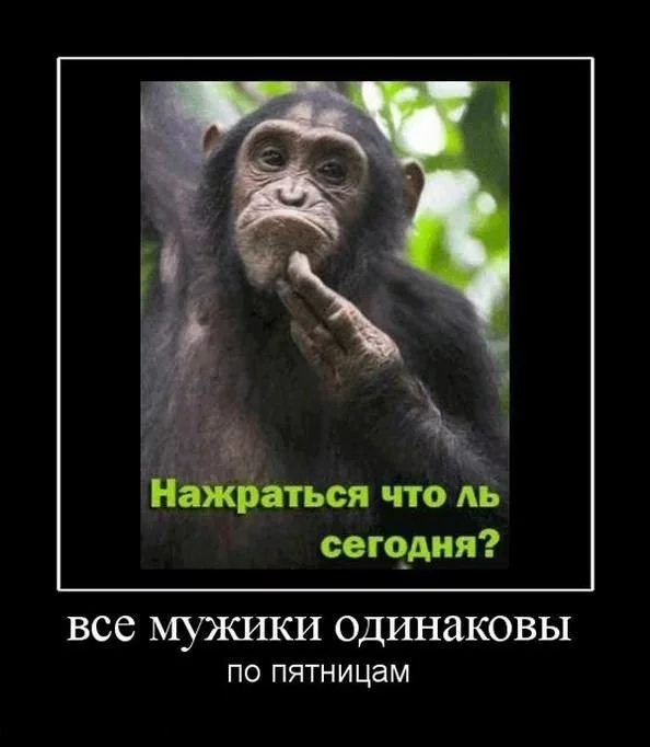 tn.webp