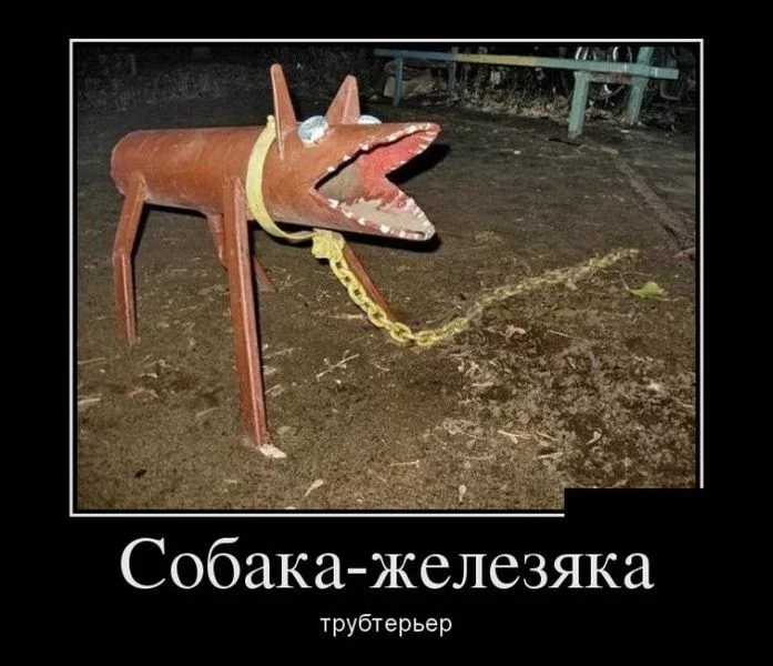 tn.webp