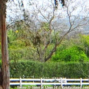 tok-12-4-center-300_3592.webp