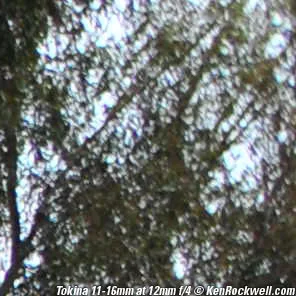 tok-12-4-tr-300_3592.webp