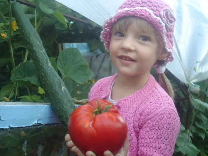 tomato_2.webp