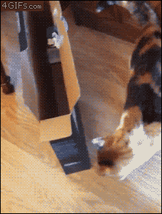 too-wide.gif