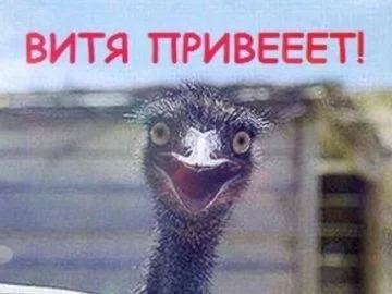 top-photo.webp