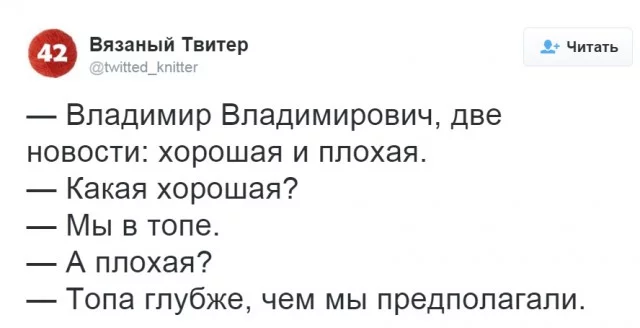Top.webp