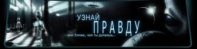 top2.webp