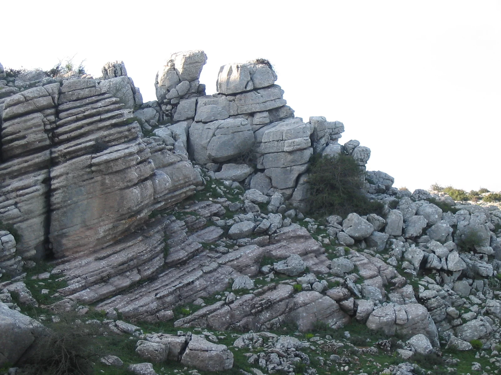 Torcaldeantequera.webp