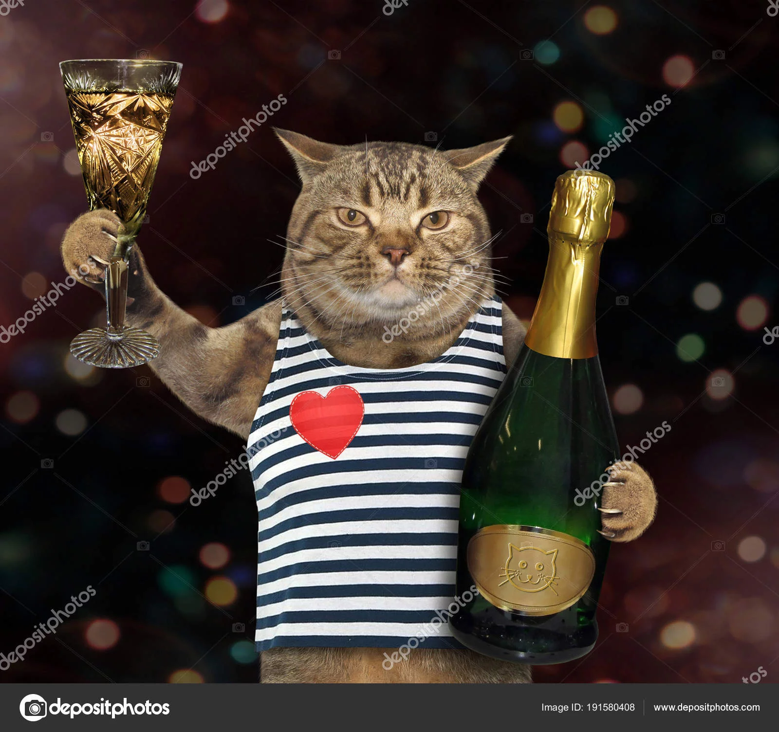 tos_191580408-stock-photo-cat-sailor-with-glass-of.webp