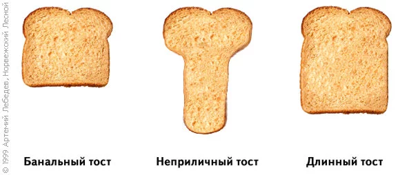 tost.webp