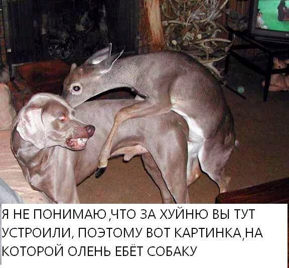 TPDZ7pEl9y0.webp