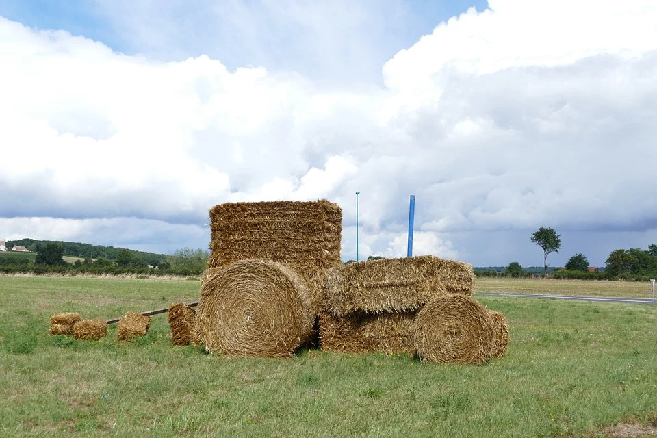 tractor-2655115_960_720.webp