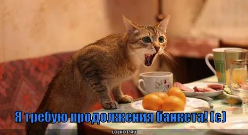 trebuyu-prodolzheniya_1305869902.webp