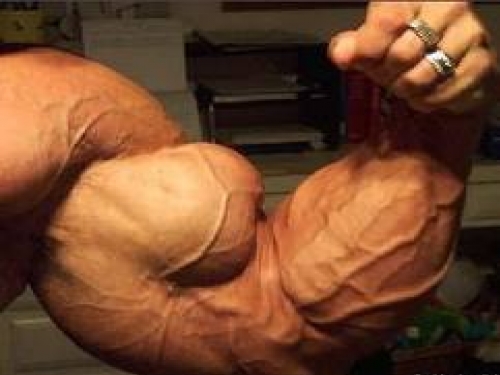 treinos-academia-antebraco.jpg