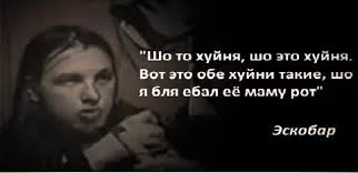 Trf_3suq1cbiyJqrJab8WJdtXiuYQc93fl_sgyPWe34ZNT9z1f.webp