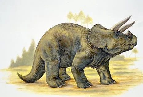 triceratops_3.webp