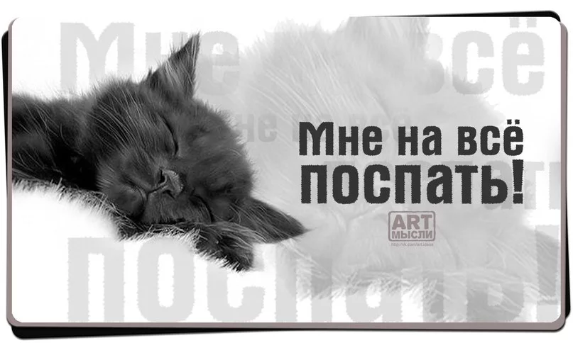 TRwjIlgGsEw.webp