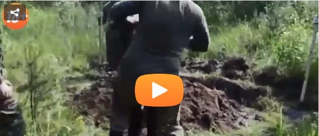 tSmVD9KdbQw.webp