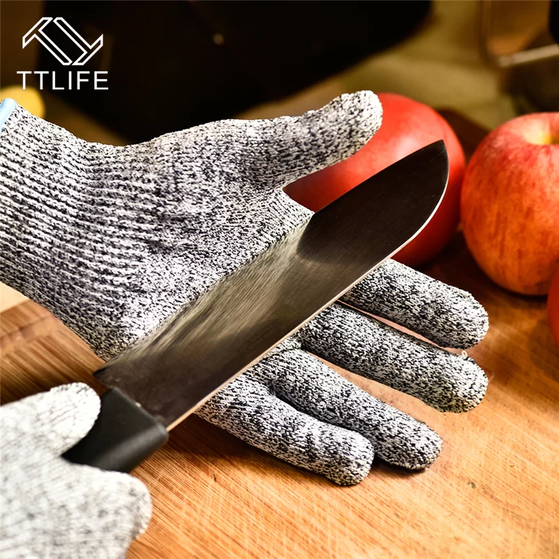 TTLIFE-5.webp