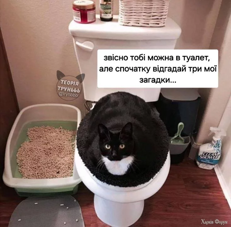  туалет.webp
