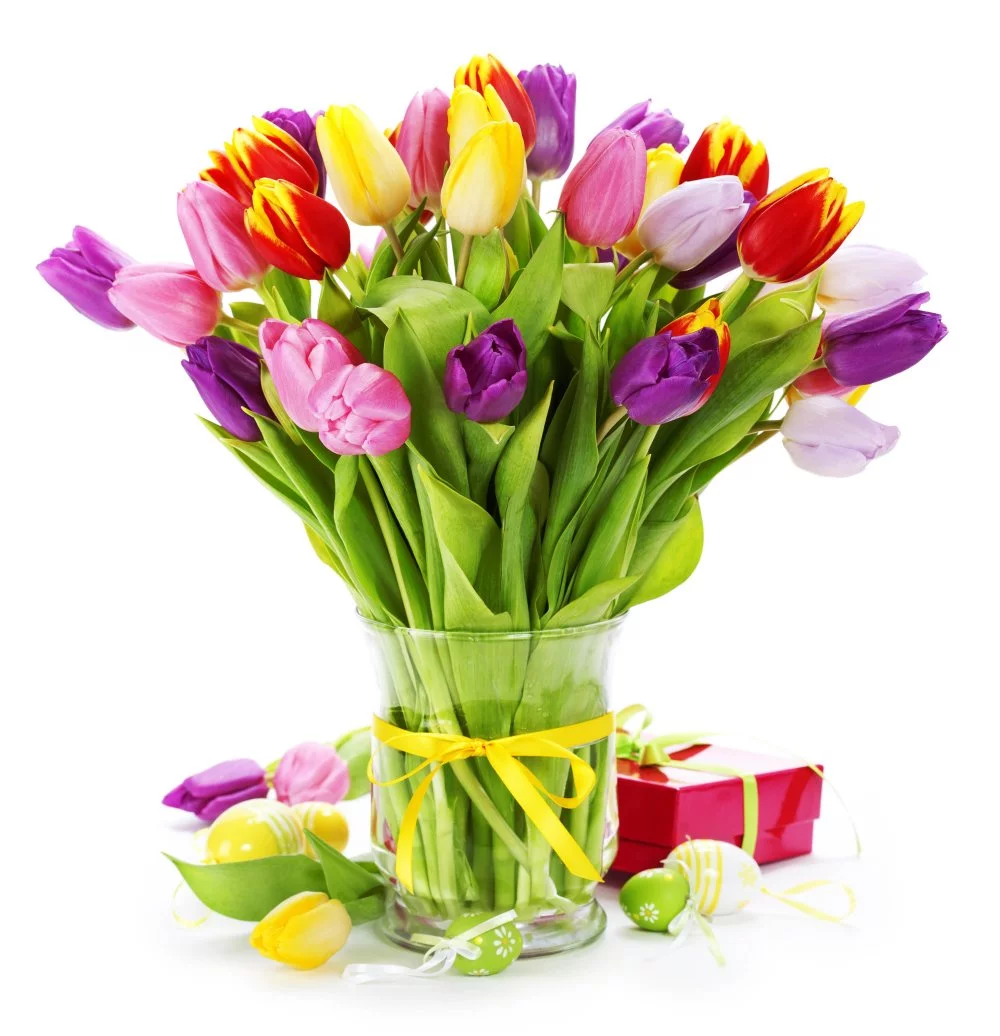 tulipan-vazaban.webp