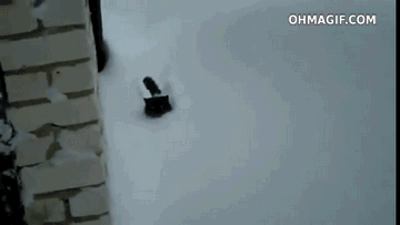 tumblr_inline_nicizlxwyX1t99r47.gif