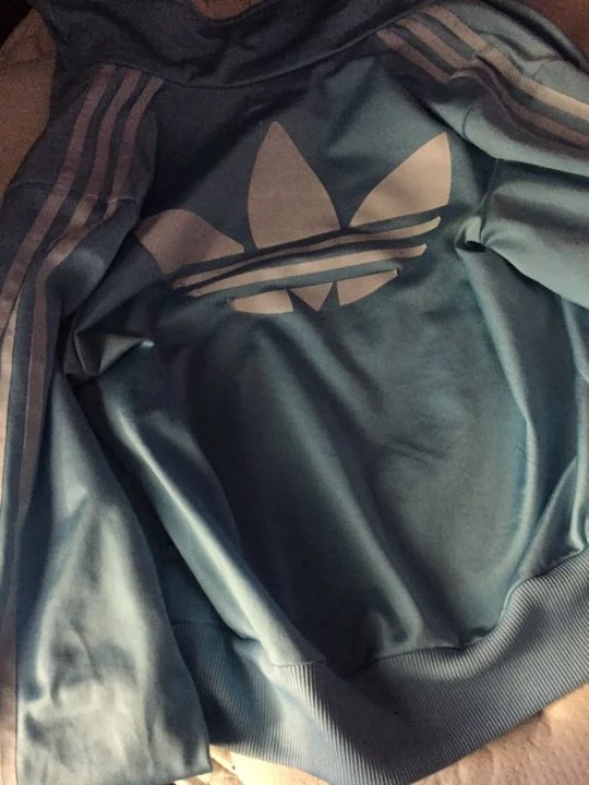 tumblr_inline_o34w2jOxWk1qhk9vh_540.webp