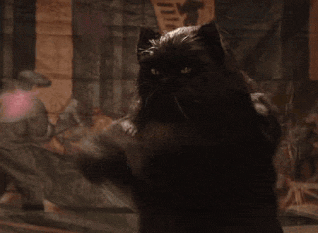 tumblr_lnkfa1US901qi0ax6o1_500.gif