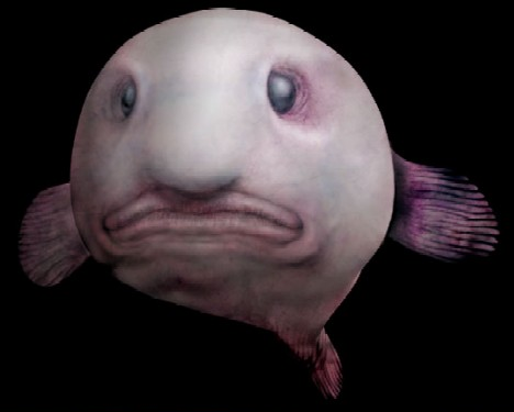 tumblr_lolruwyDkb1qjbe2z.png